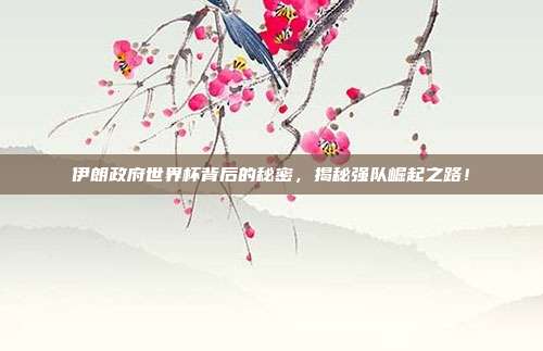 伊朗政府世界杯背后的秘密，揭秘强队崛起之路！