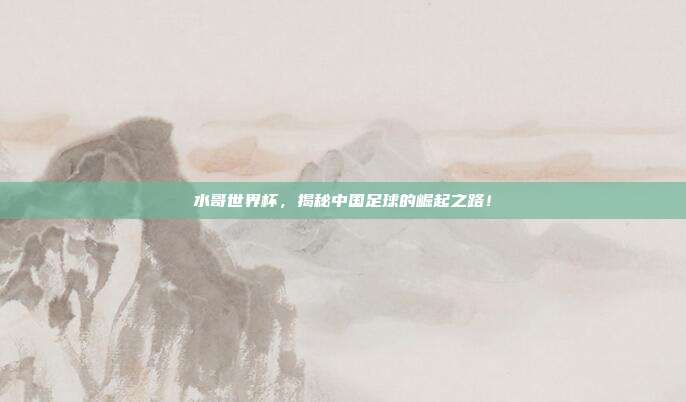 水哥世界杯，揭秘中国足球的崛起之路！