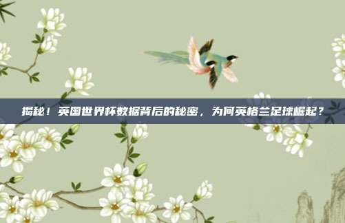 揭秘！英国世界杯数据背后的秘密，为何英格兰足球崛起？