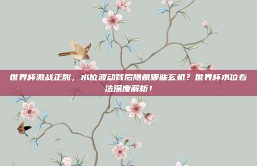 世界杯激战正酣，水位波动背后隐藏哪些玄机？世界杯水位看法深度解析！