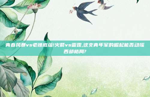 青春风暴vs老辣底蕴!火箭vs雷霆,这支青年军的崛起能否动摇西部格局?