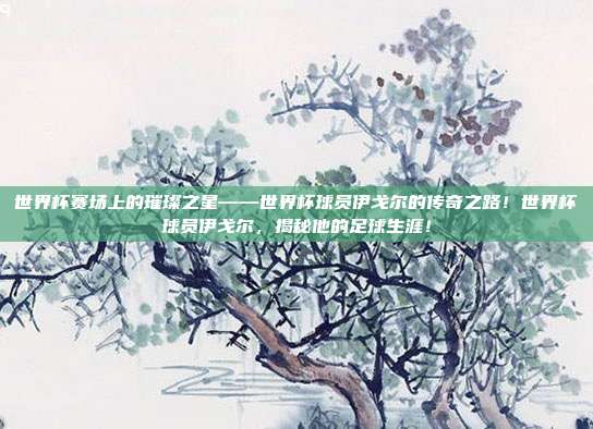 世界杯赛场上的璀璨之星——世界杯球员伊戈尔的传奇之路！世界杯球员伊戈尔，揭秘他的足球生涯！