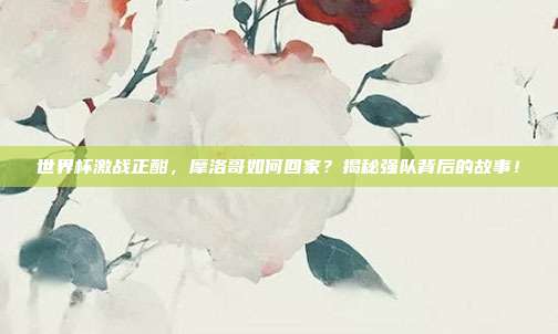 世界杯激战正酣，摩洛哥如何回家？揭秘强队背后的故事！