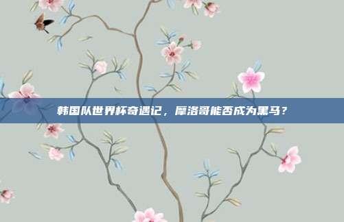 韩国队世界杯奇遇记，摩洛哥能否成为黑马？