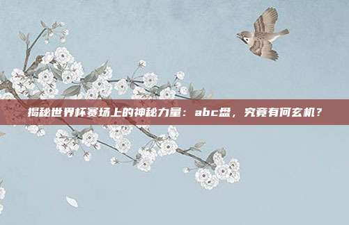 揭秘世界杯赛场上的神秘力量：abc盘，究竟有何玄机？
