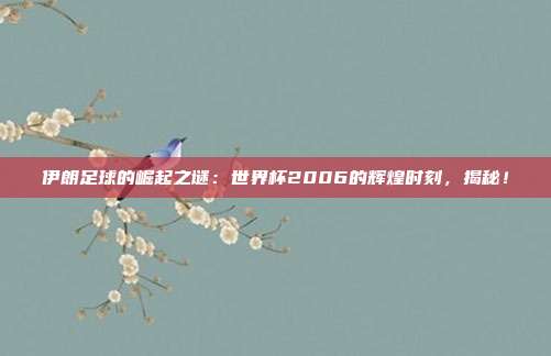伊朗足球的崛起之谜：世界杯2006的辉煌时刻，揭秘！