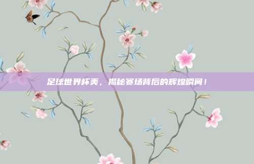 足球世界杯美，揭秘赛场背后的辉煌瞬间！
