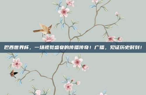 巴西世界杯，一场视觉盛宴的传播传奇！广播，见证历史时刻！