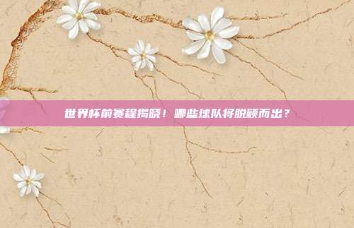 世界杯前赛程揭晓！哪些球队将脱颖而出？
