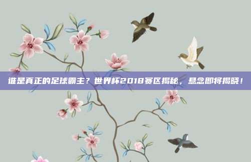谁是真正的足球霸主？世界杯2018赛区揭秘，悬念即将揭晓！