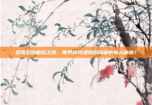 多哥足球崛起之路，世界杯成绩背后隐藏的惊人秘密！