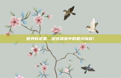 世界杯求星，足球盛宴中的星光璀璨！