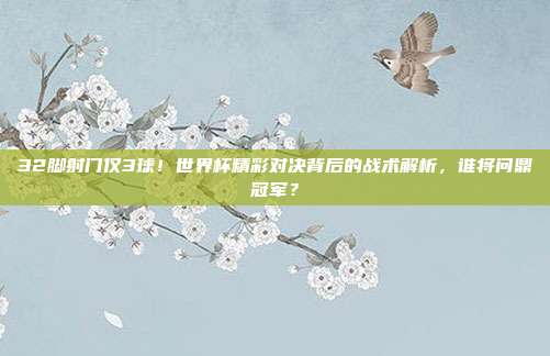 32脚射门仅3球！世界杯精彩对决背后的战术解析，谁将问鼎冠军？