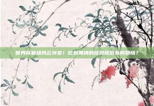 世界杯赛场风云突变！吃到黄牌的球员背后有何隐情？
