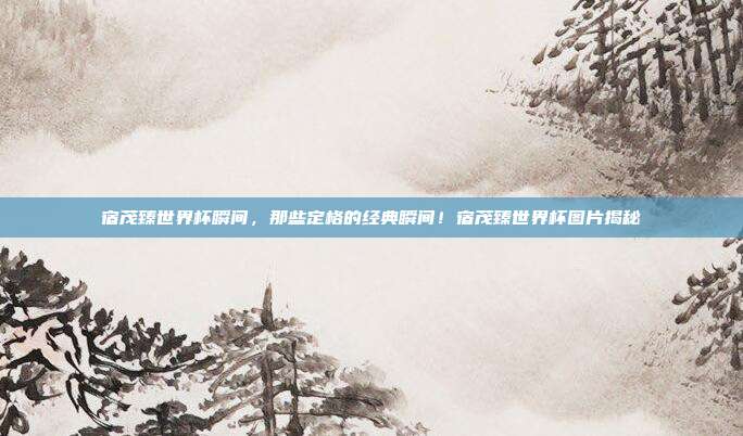 宿茂臻世界杯瞬间，那些定格的经典瞬间！宿茂臻世界杯图片揭秘