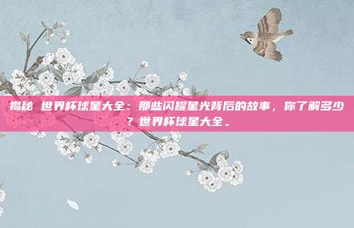 揭秘 世界杯球星大全：那些闪耀星光背后的故事，你了解多少？世界杯球星大全。