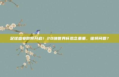 足球盛宴即将开启！20晚世界杯悬念重重，谁将问鼎？