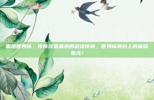 盖坦世界杯：传奇球星盖坦的足球传奇，世界杯舞台上的璀璨星光！
