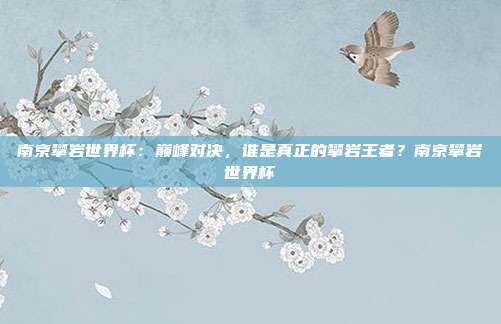 南京攀岩世界杯：巅峰对决，谁是真正的攀岩王者？南京攀岩世界杯