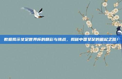 数据揭示女足世界杯的精彩与挑战，揭秘中国女足的崛起之路！