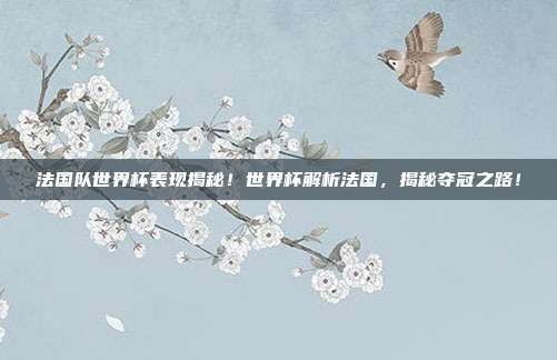 法国队世界杯表现揭秘！世界杯解析法国，揭秘夺冠之路！