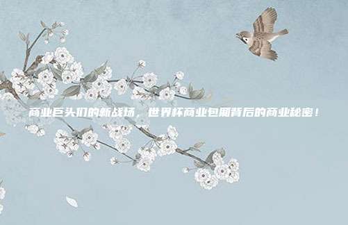 商业巨头们的新战场，世界杯商业包厢背后的商业秘密！
