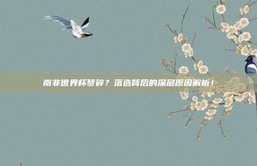 南非世界杯梦碎？落选背后的深层原因解析！
