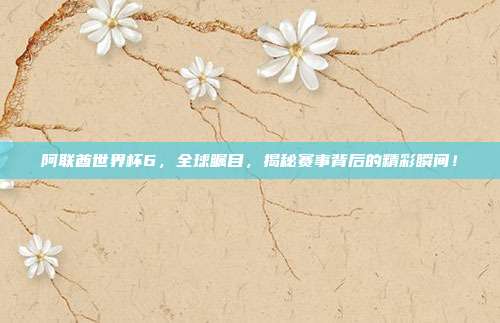 阿联酋世界杯6，全球瞩目，揭秘赛事背后的精彩瞬间！