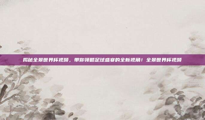 揭秘全景世界杯视频，带你领略足球盛宴的全新视角！全景世界杯视频