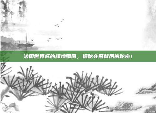 法国世界杯的辉煌瞬间，揭秘夺冠背后的秘密！