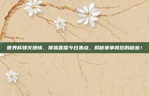 世界杯烽火燃情，搜狐直播今日焦点，揭秘赛事背后的秘密！