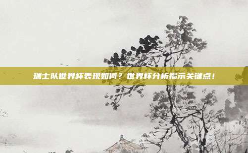 瑞士队世界杯表现如何？世界杯分析揭示关键点！