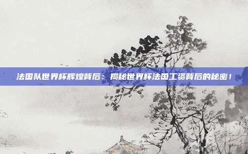 法国队世界杯辉煌背后：揭秘世界杯法国工资背后的秘密！