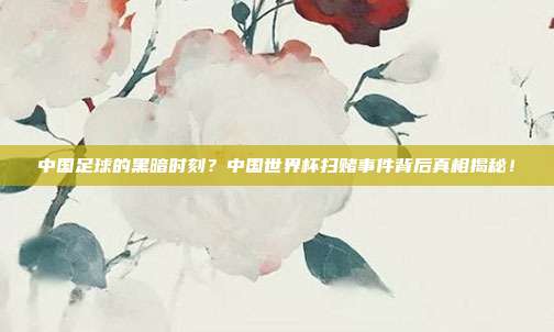 中国足球的黑暗时刻？中国世界杯扫赌事件背后真相揭秘！