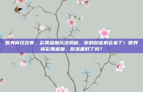 世界杯狂欢夜，彩票追加玩法揭秘，你的财富机会来了！世界杯彩票追加，你准备好了吗？