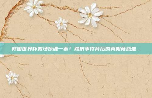 韩国世界杯赛场惊魂一幕！踢伤事件背后的真相竟然是...