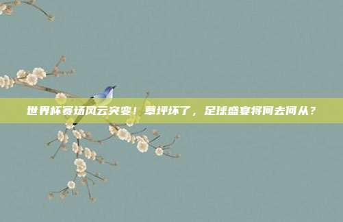 世界杯赛场风云突变！草坪坏了，足球盛宴将何去何从？