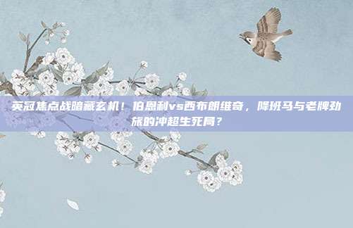 英冠焦点战暗藏玄机！伯恩利vs西布朗维奇，降班马与老牌劲旅的冲超生死局？