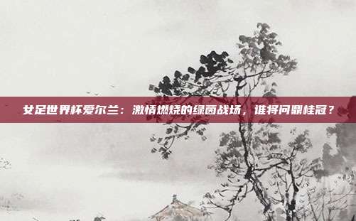 女足世界杯爱尔兰：激情燃烧的绿茵战场，谁将问鼎桂冠？