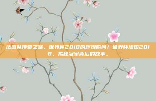 法国队传奇之路，世界杯2018的辉煌瞬间！世界杯法国2018，揭秘冠军背后的故事。
