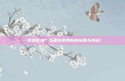 一球定乾坤？马里队世界杯的惊喜与挑战！