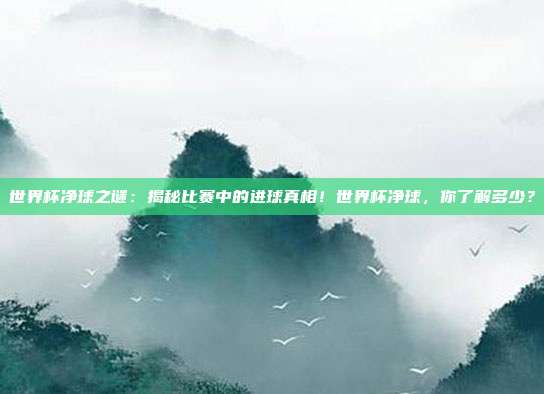 世界杯净球之谜：揭秘比赛中的进球真相！世界杯净球，你了解多少？