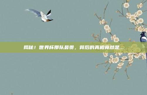 揭秘！世界杯那队最贵，背后的真相竟然是...