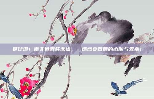 足球泪！南非世界杯悲惨，一场盛宴背后的心酸与无奈！