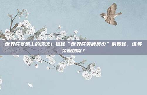 世界杯赛场上的清流！揭秘“世界杯黄牌最少”的奥秘，谁将荣耀加冕？
