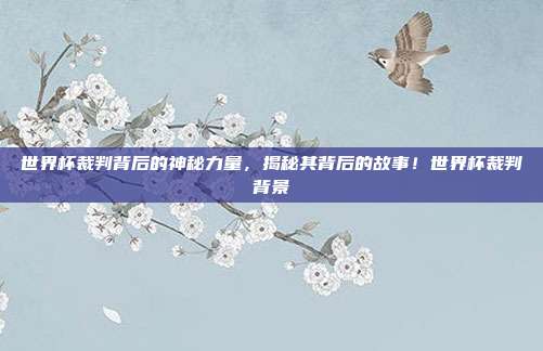 世界杯裁判背后的神秘力量，揭秘其背后的故事！世界杯裁判背景