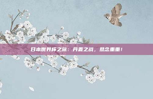 日本世界杯之旅：丹麦之战，悬念重重！