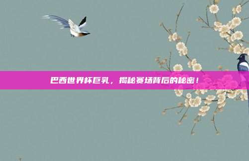 巴西世界杯巨乳，揭秘赛场背后的秘密！