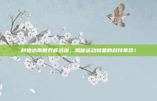 阿迪达斯世界杯战袍，揭秘运动装备的科技革命！