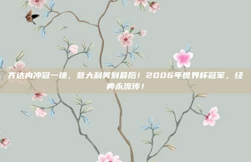 齐达内冲冠一撞，意大利笑到最后！2006年世界杯冠军，经典永流传！